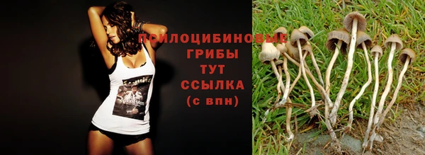 мет Алексин