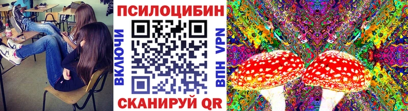 кракен вход  Касимов  Псилоцибиновые грибы ЛСД  наркотики 